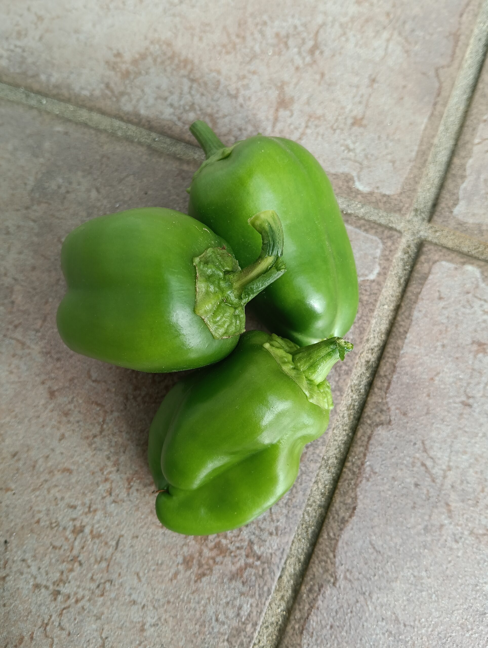 緑のパプリカ写真